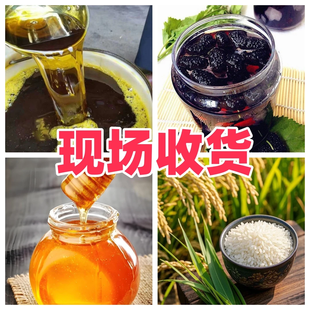 现场收山货农产品老乡油