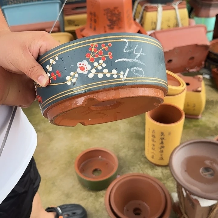 这是什么神仙爱情