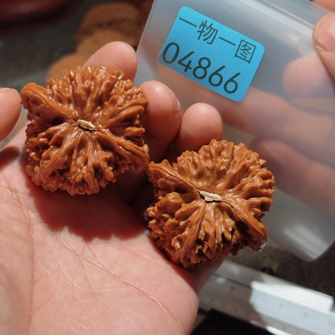 把件文玩核桃满天星