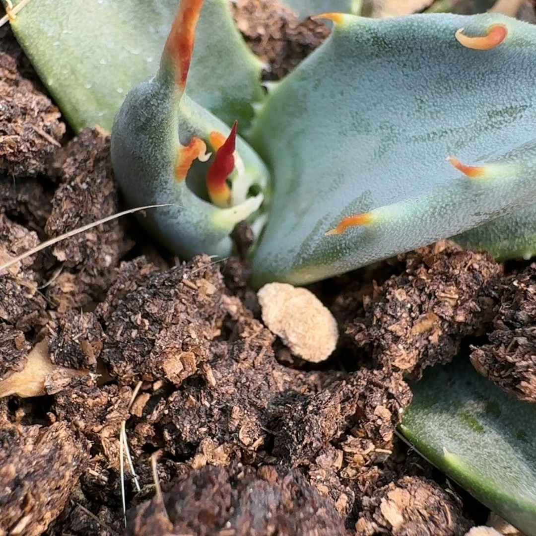 【闪购商品】34哈哈哈哈哈哈哈