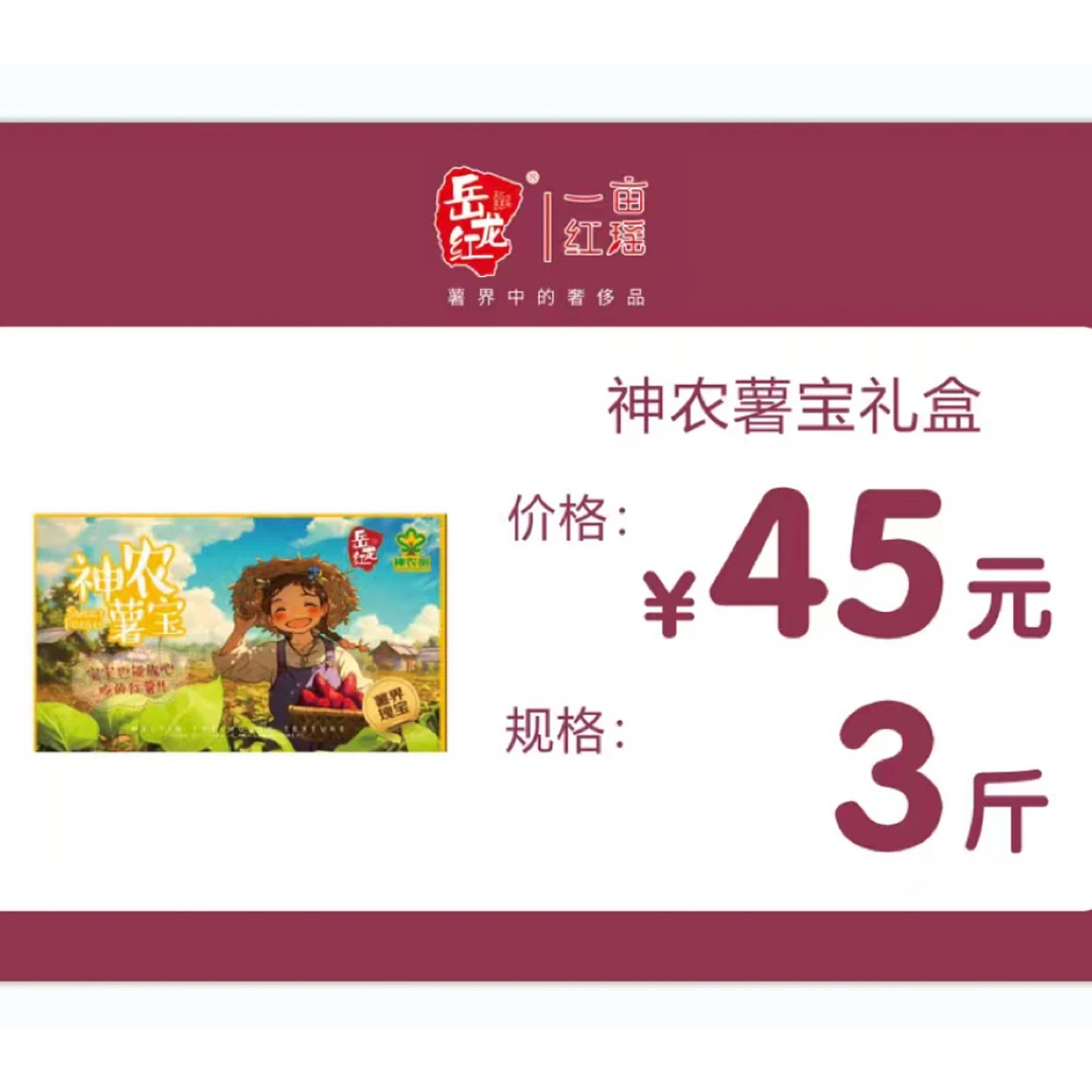 岳龙红一亩红瑶甘薯 薯宝系列 1.5kg（已糖化30天，未完全糖化好）