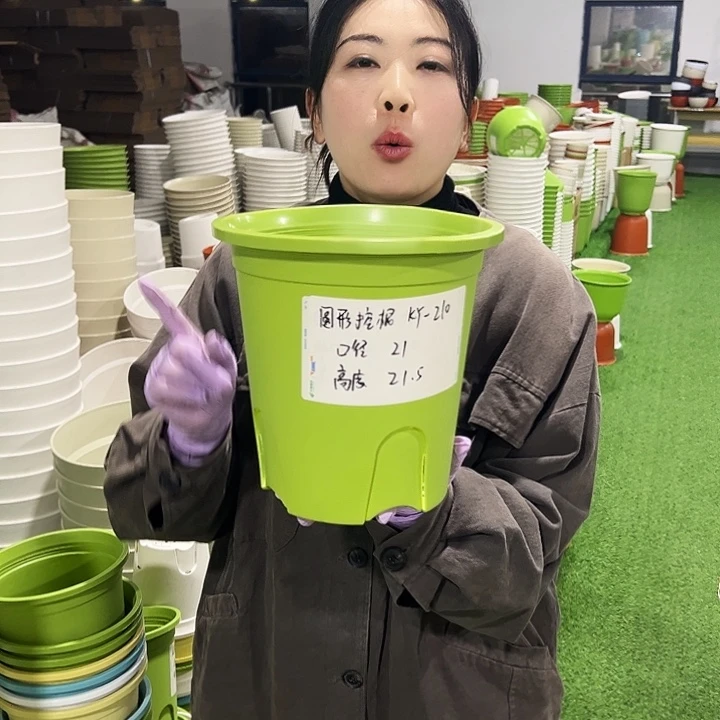 正品圆控口21高21果绿8只无托