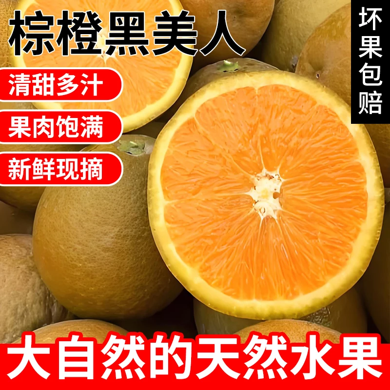 【正宗棕橙】湖北秭归棕橙黑美人巧克力橙子脐橙香甜多汁新鲜果冻橙