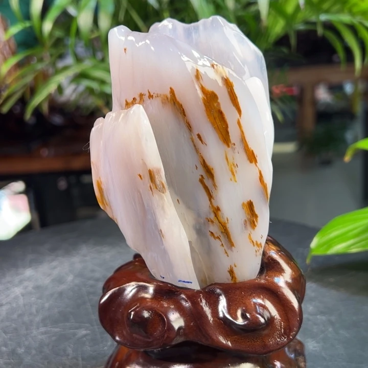 用***6硅化玉（树化玉）未镶嵌珠宝奇石