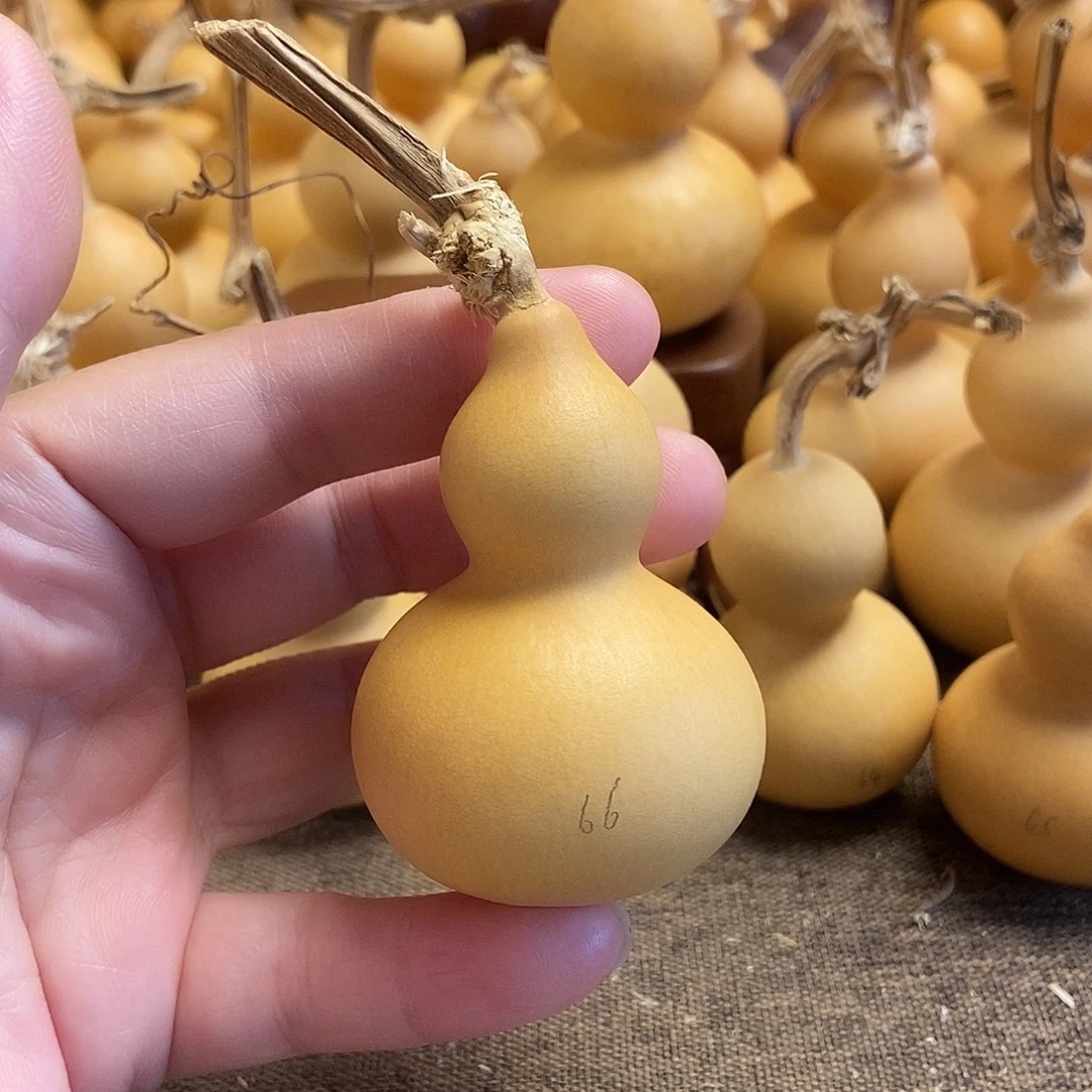 文玩葫芦 完美主义者 慎拍66