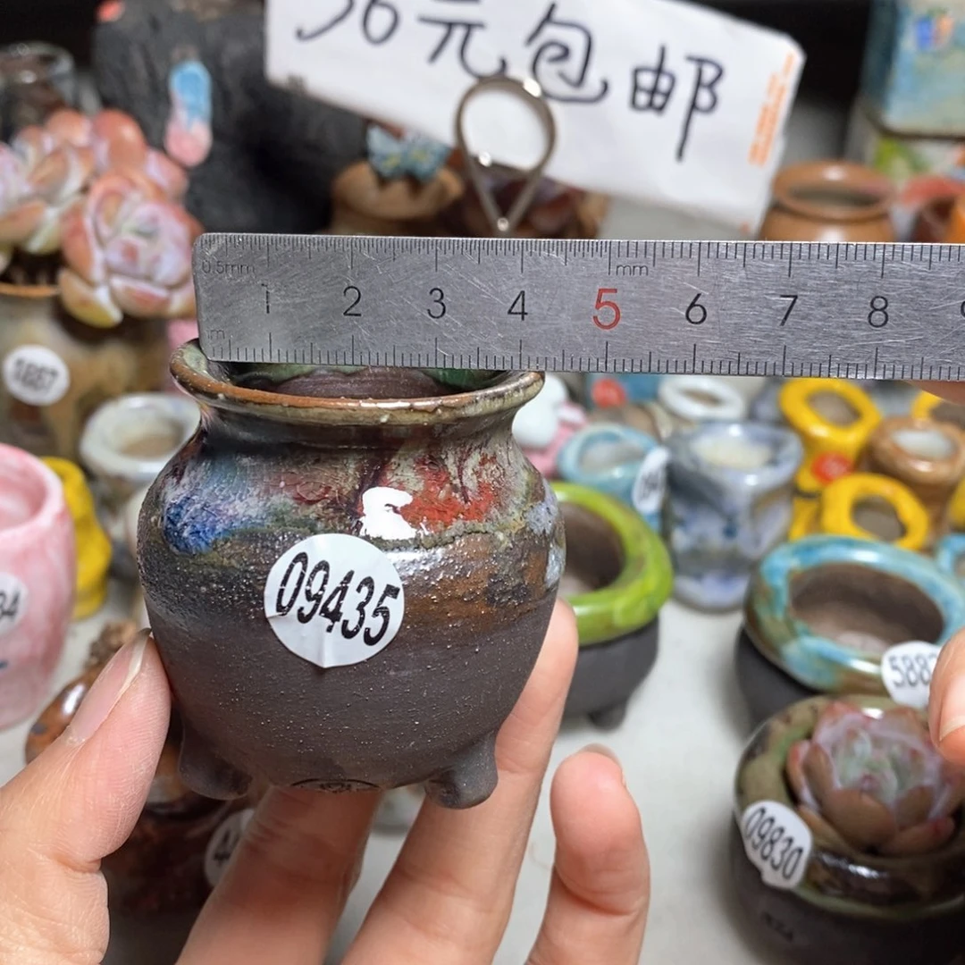 拍5送一个小礼物