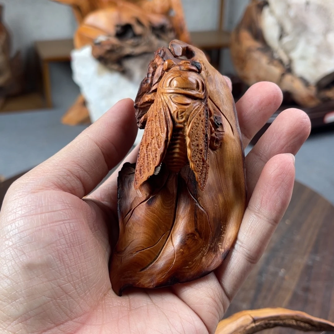 左***行柏木（崖柏）5888858889