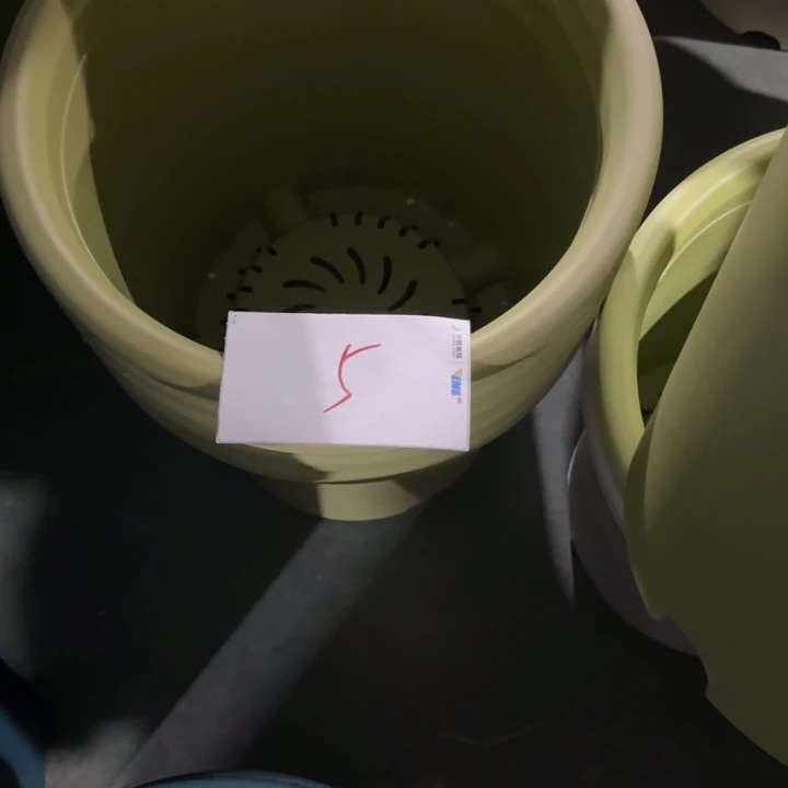 编号是5号的5号的