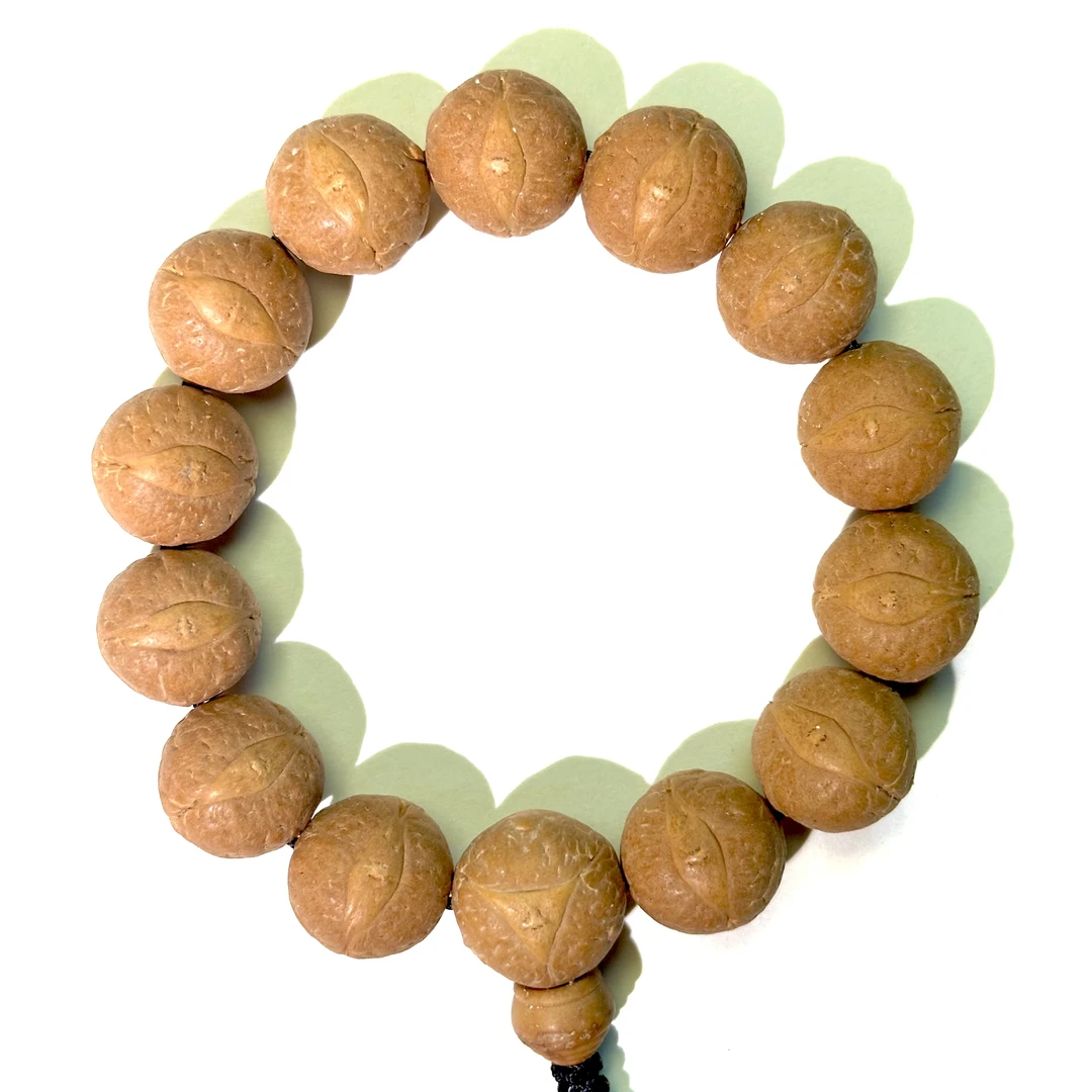 喜鹊7号17.5mm，14颗，编号127超大尺寸尼泊尔凤眼菩提一物一图