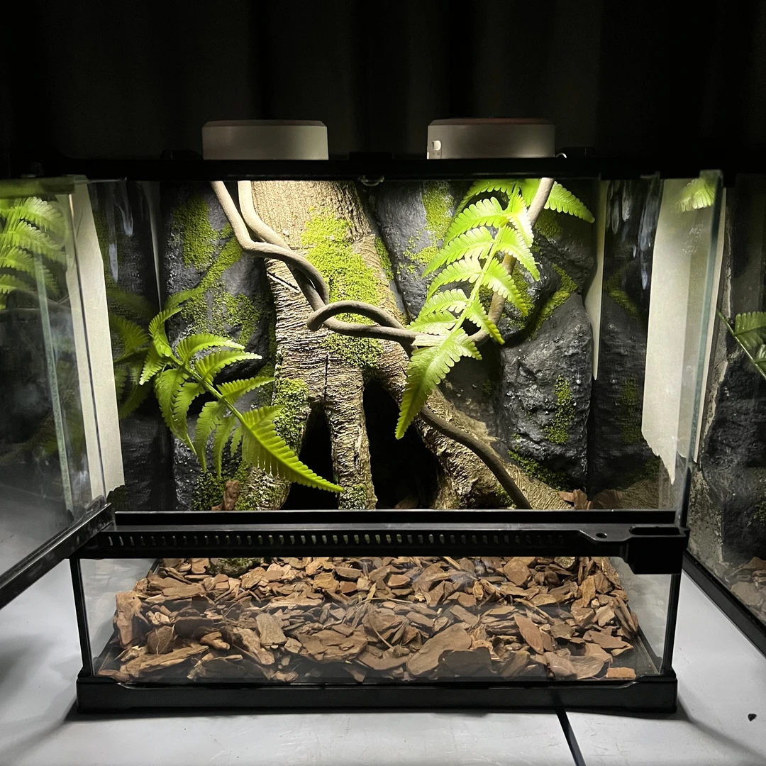 【长30宽25高27】爬宠造景缸睫角守宫树栖蜘蛛饲养箱爬宠爬虫缸