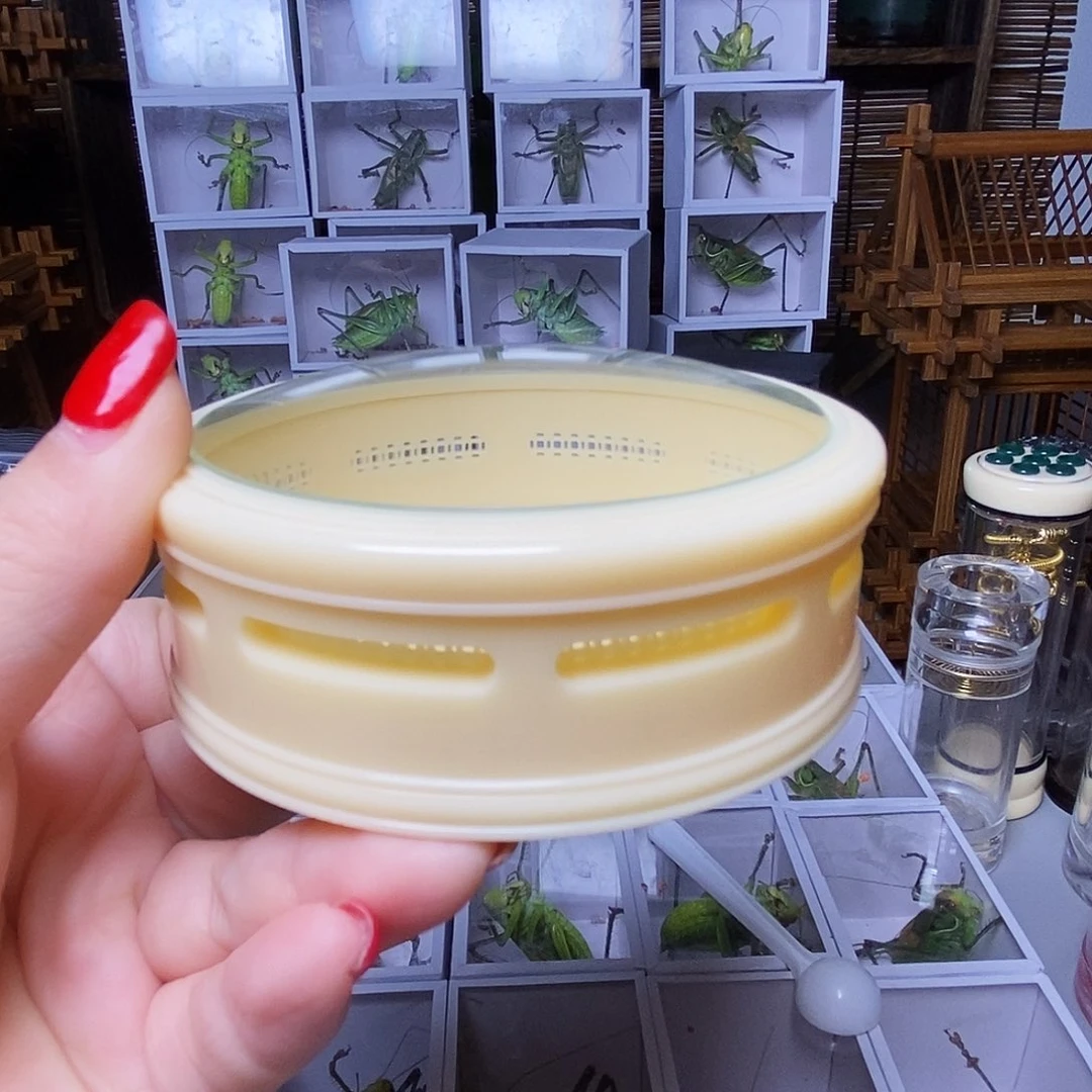 密胺万体虫格带一只竹蛉