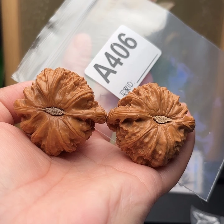 桃核把件核桃白狮子44