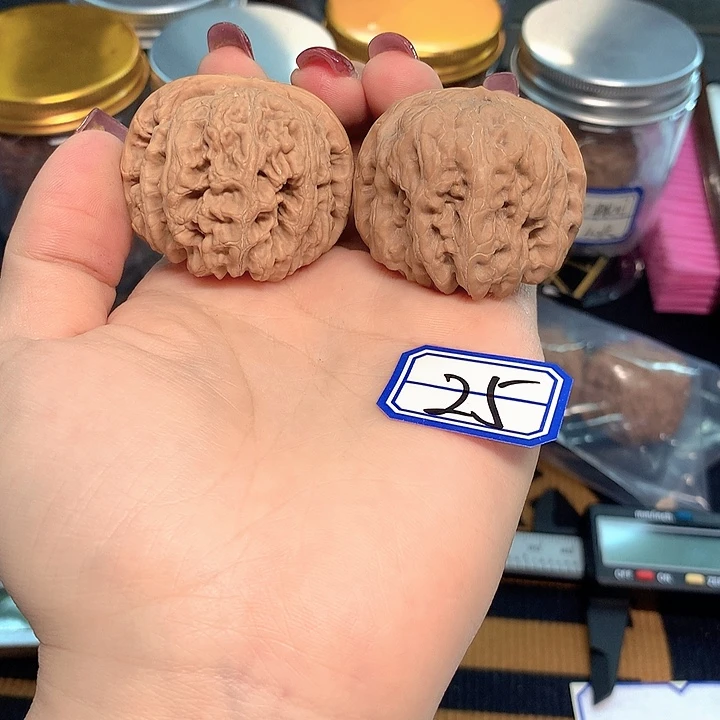 木质类粗筋42尺寸