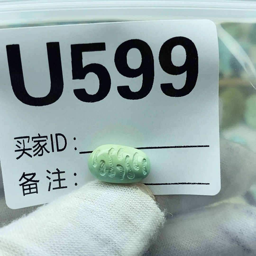 未镶嵌绿松石配饰