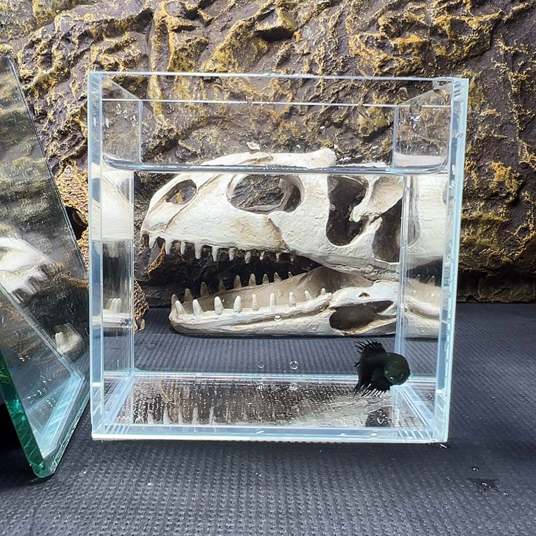 斗鱼精品精品精品精品精品