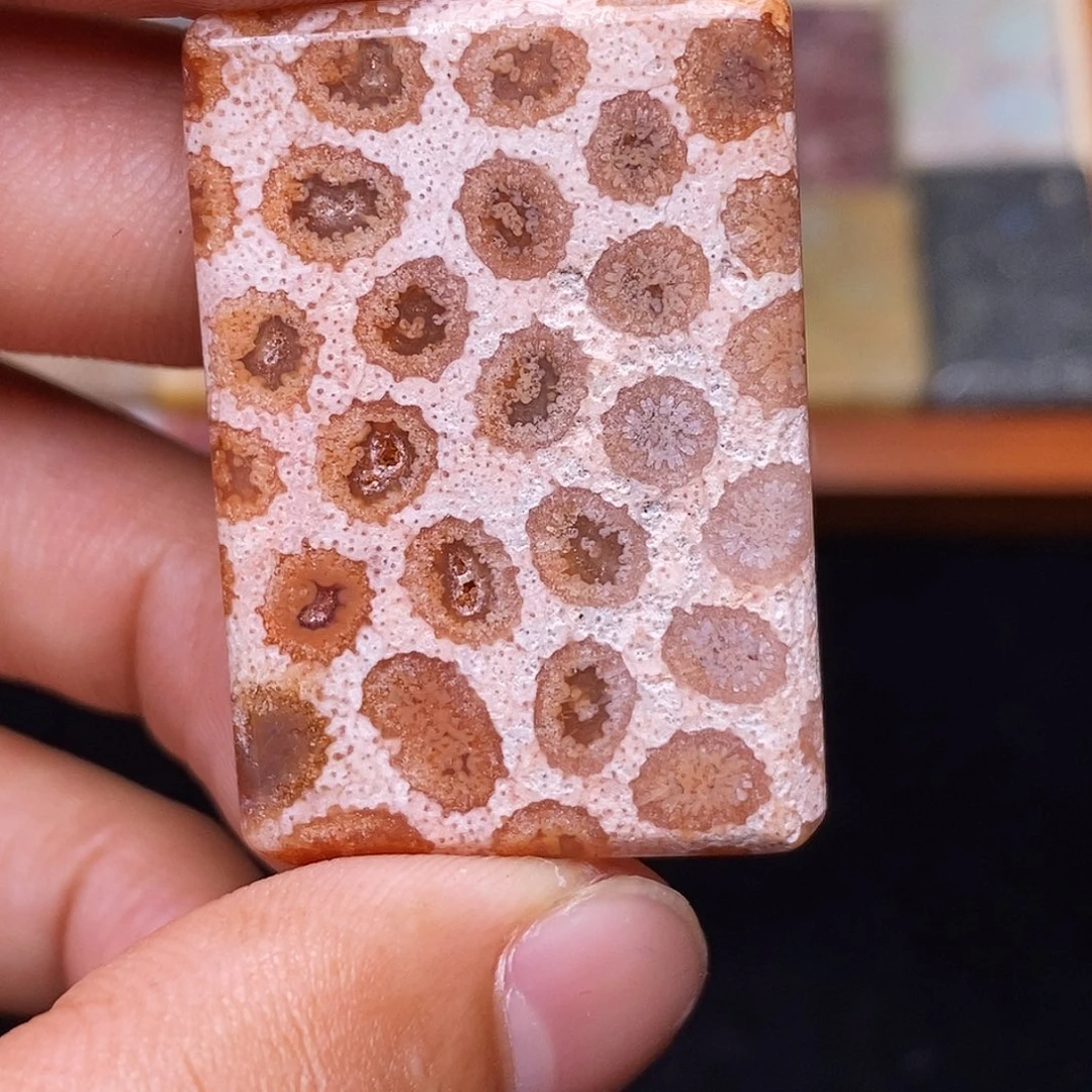 煒***w合金珊瑚玉硅化玉