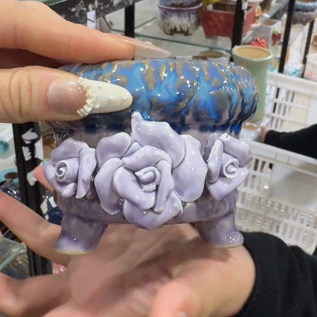 本场直播满百送一个盆