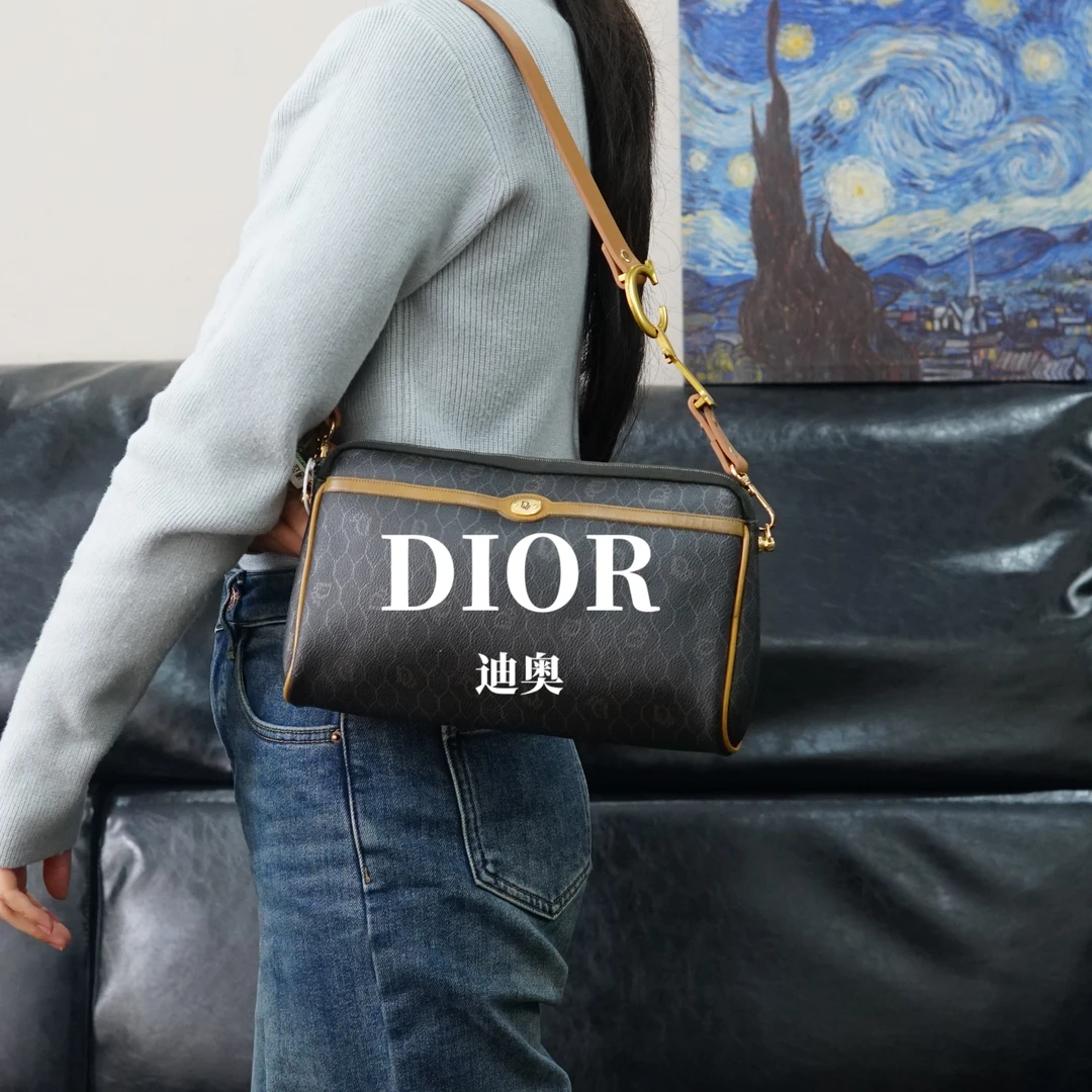 95新 DIOR/迪奥 老花单肩包/JJ12823588/3588