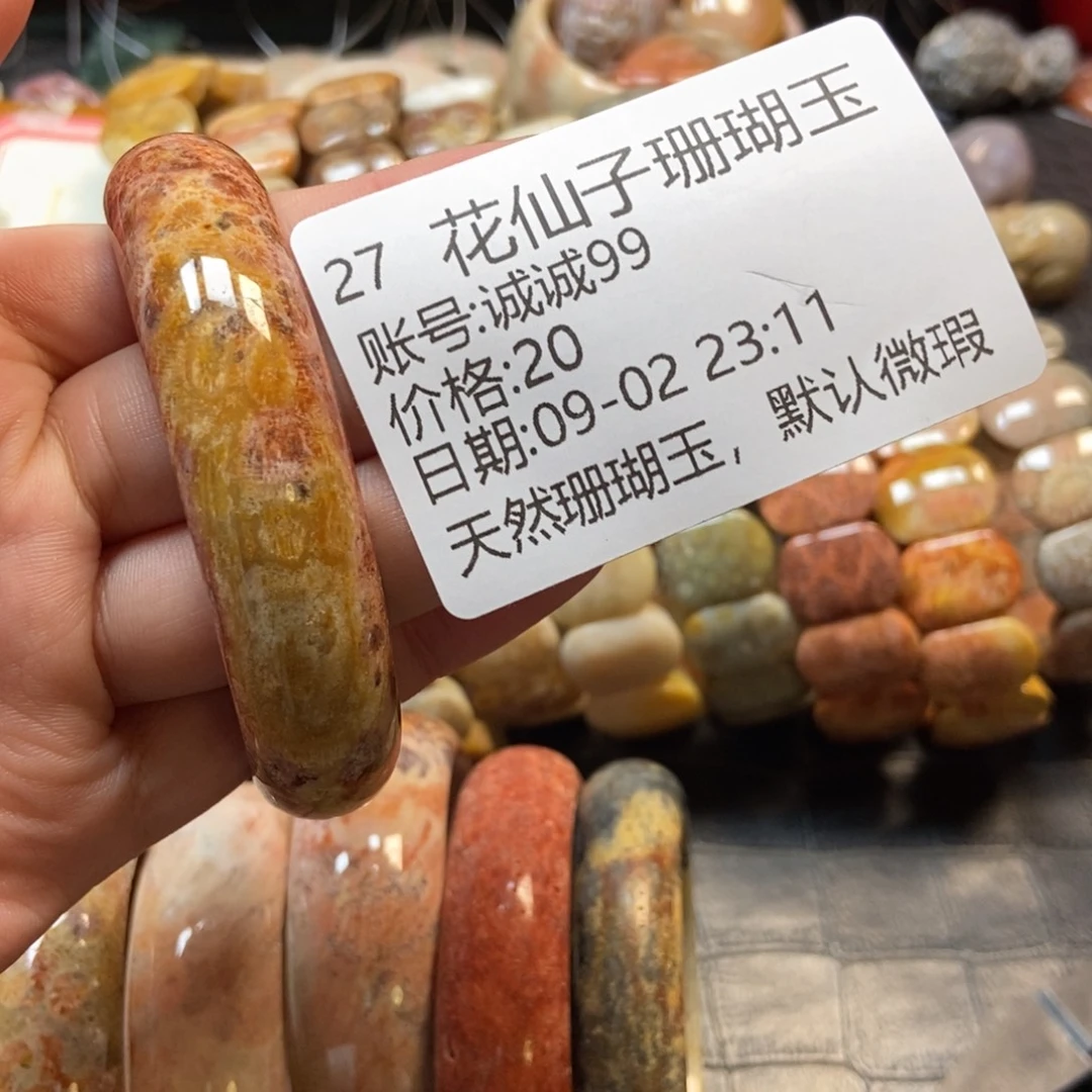 诚***9未镶嵌硅化珊瑚（珊瑚玉）珠宝半成品27