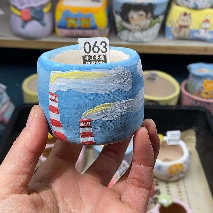 大舅生石花肉锥多肉063