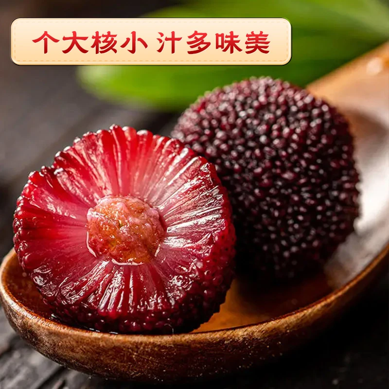 【精美礼盒装】正宗仙居东魁9A~10A杨梅5斤京东顺丰次日达-鲜品贡果杨梅同城送浙江省