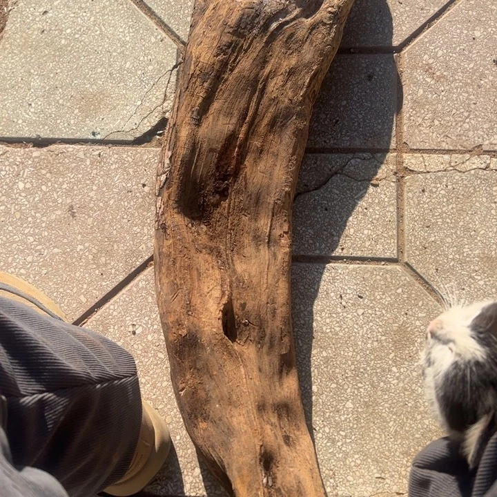 青***檬陶瓷摆件工艺品摆件创意工艺品装饰