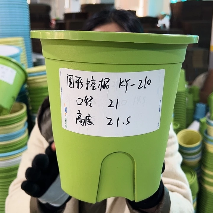 正品圆形控根口21高21果绿色5个无托