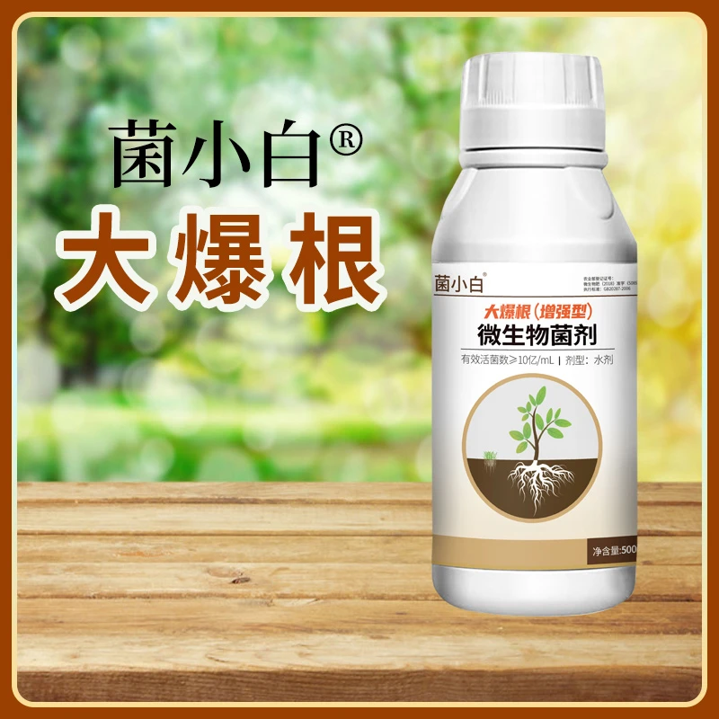菌小白系列微生物菌剂大爆根