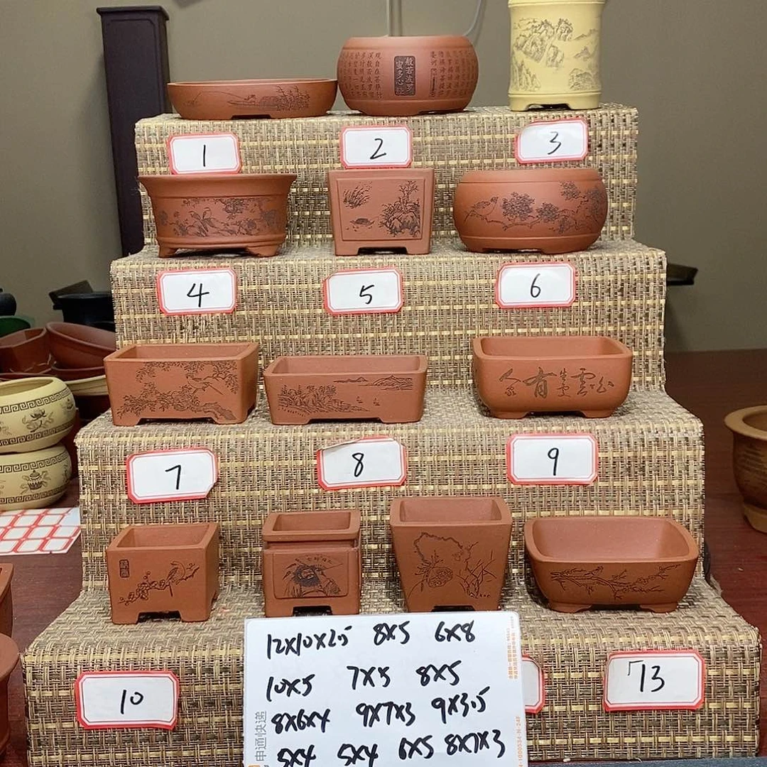 紫砂花盆我在等他