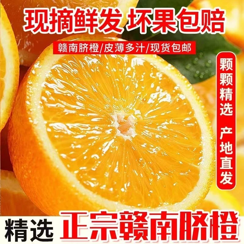 【马军满月宴专属s1】江西赣南早熟脐橙当季脐橙手剥橙现摘新鲜水果