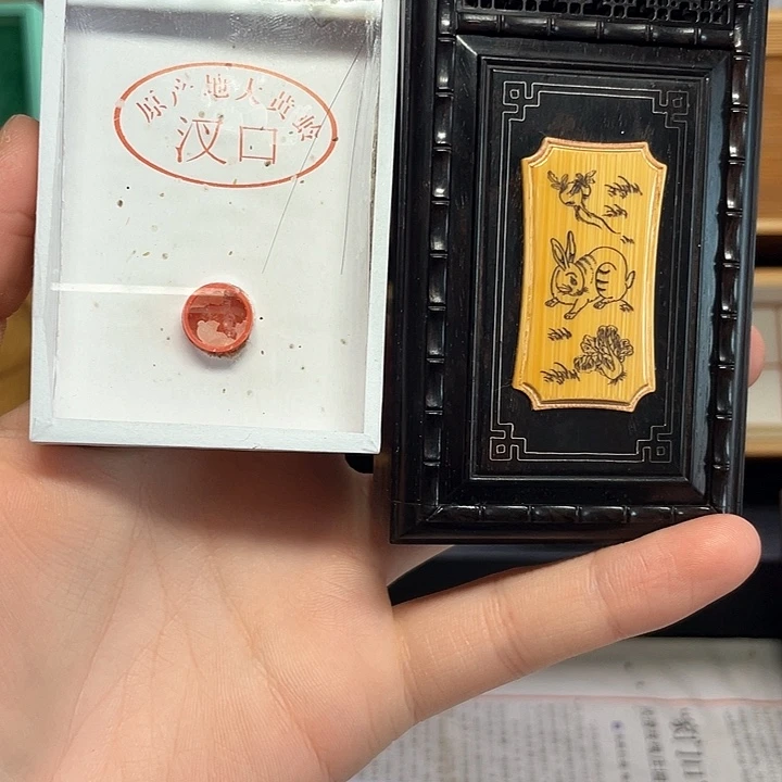 金钟竹岭盒加长须大黄包邮