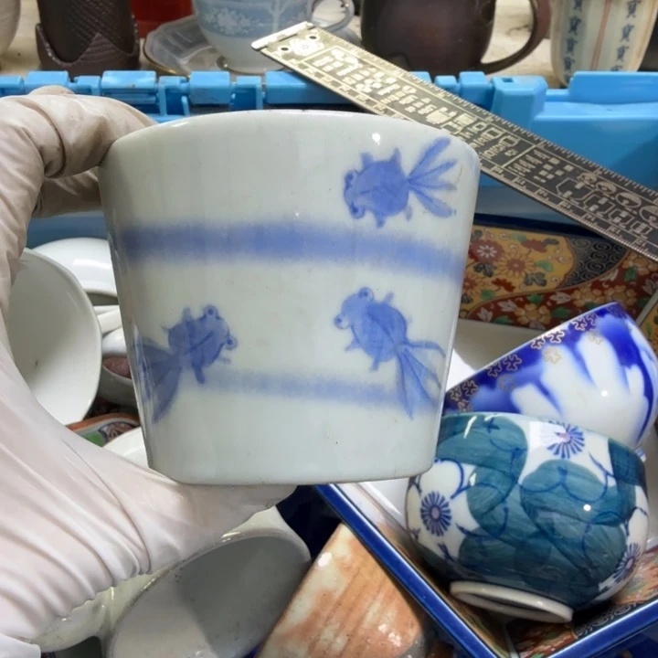 瓷片奇***宝开播啦…开播啦！