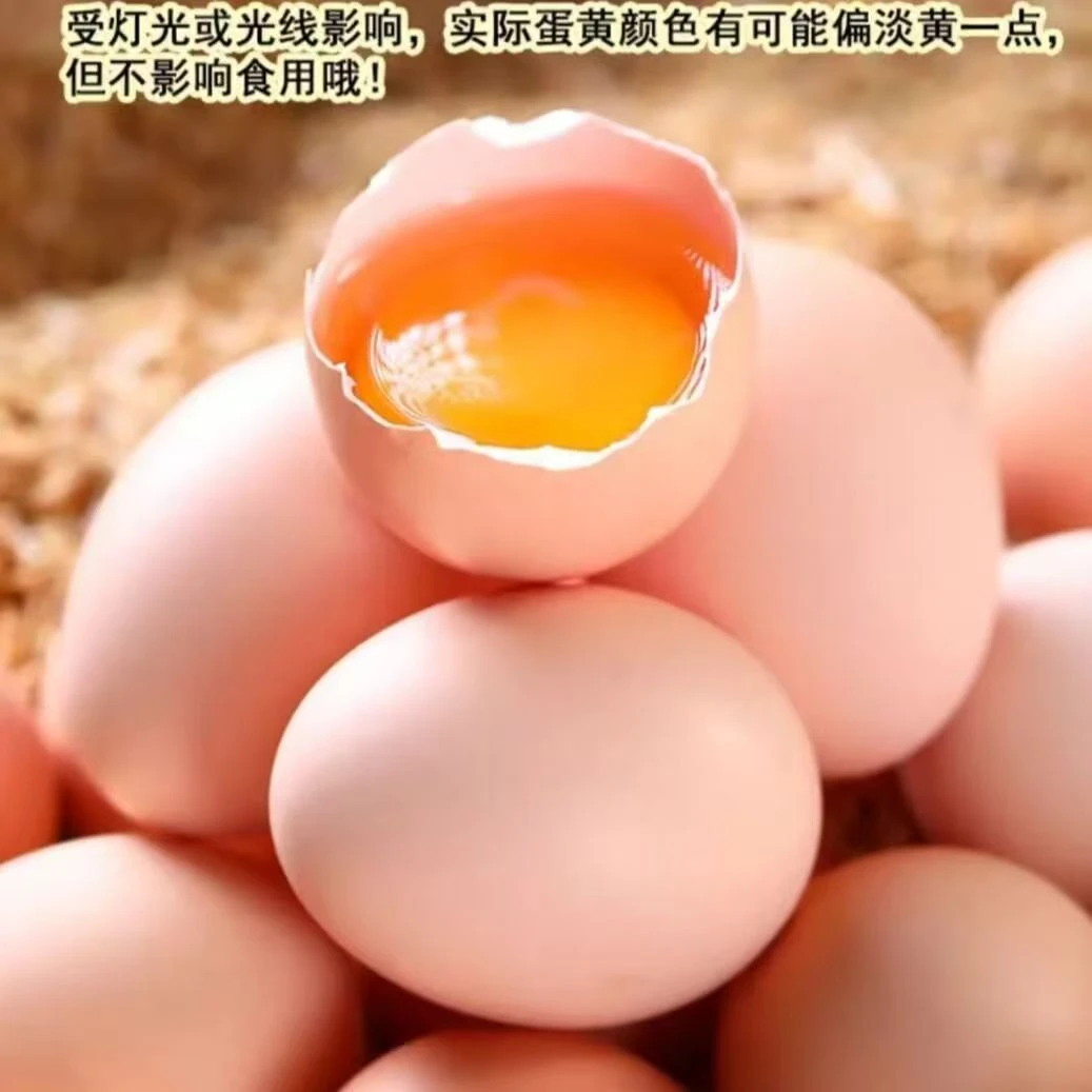 【基地直供】科学散养鸡蛋溜达鸡蛋跑山鸡蛋