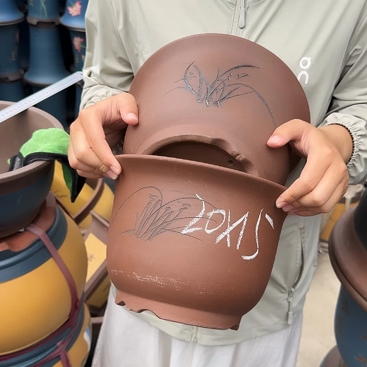 21+21平角金钟花盆×2对四个盆