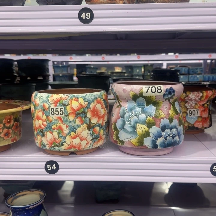 田小姐多肉花盆2个