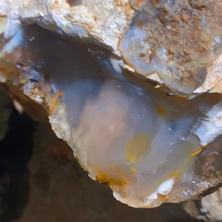 D***y定制玛瑙低密我玛瑙