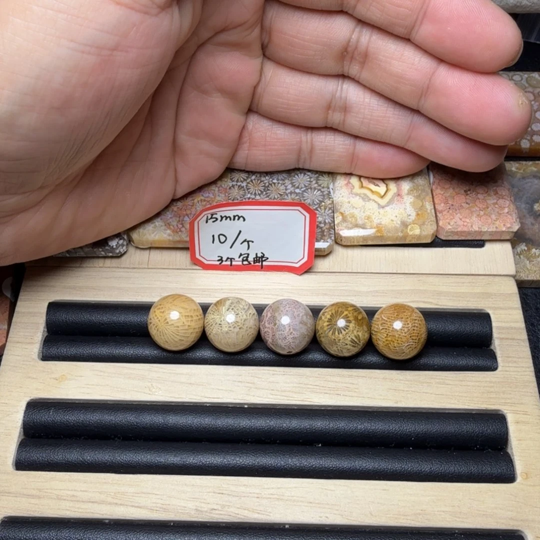 孙***喜硅化玉未镶嵌纯天然色有机玉石保真色15 10 5