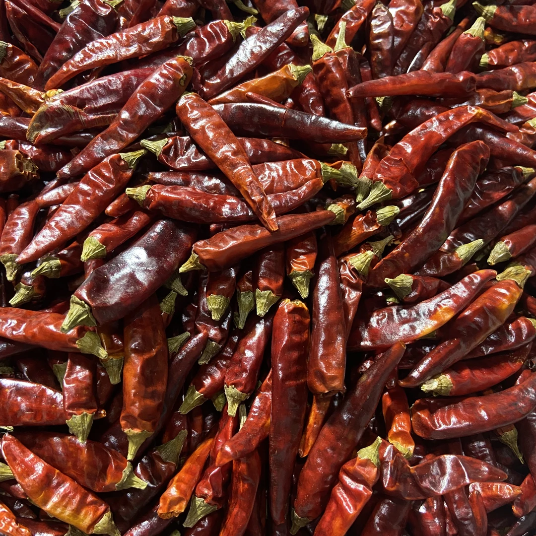 【普通快递】干朝天椒