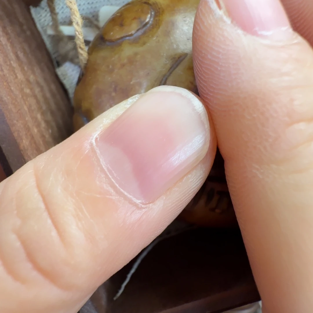 陶瓷手串，多样性发一