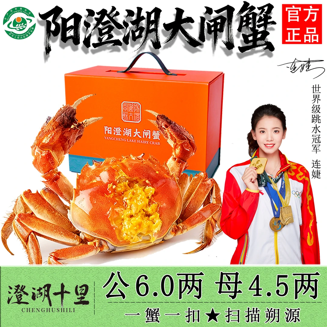 【直播间专享送2只】阳澄湖大闸蟹礼盒公5.0两母4.0两高标准塘养蟹