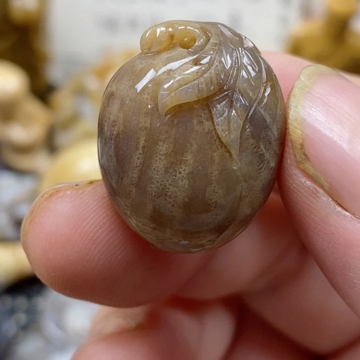 颈饰未镶嵌硅化珊瑚（珊瑚玉）小