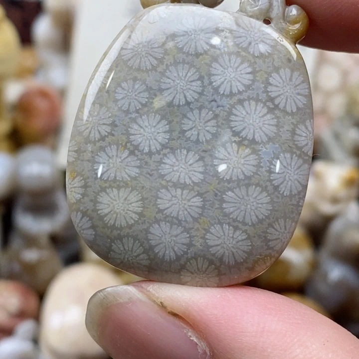 颈饰未镶嵌硅化珊瑚（珊瑚玉）