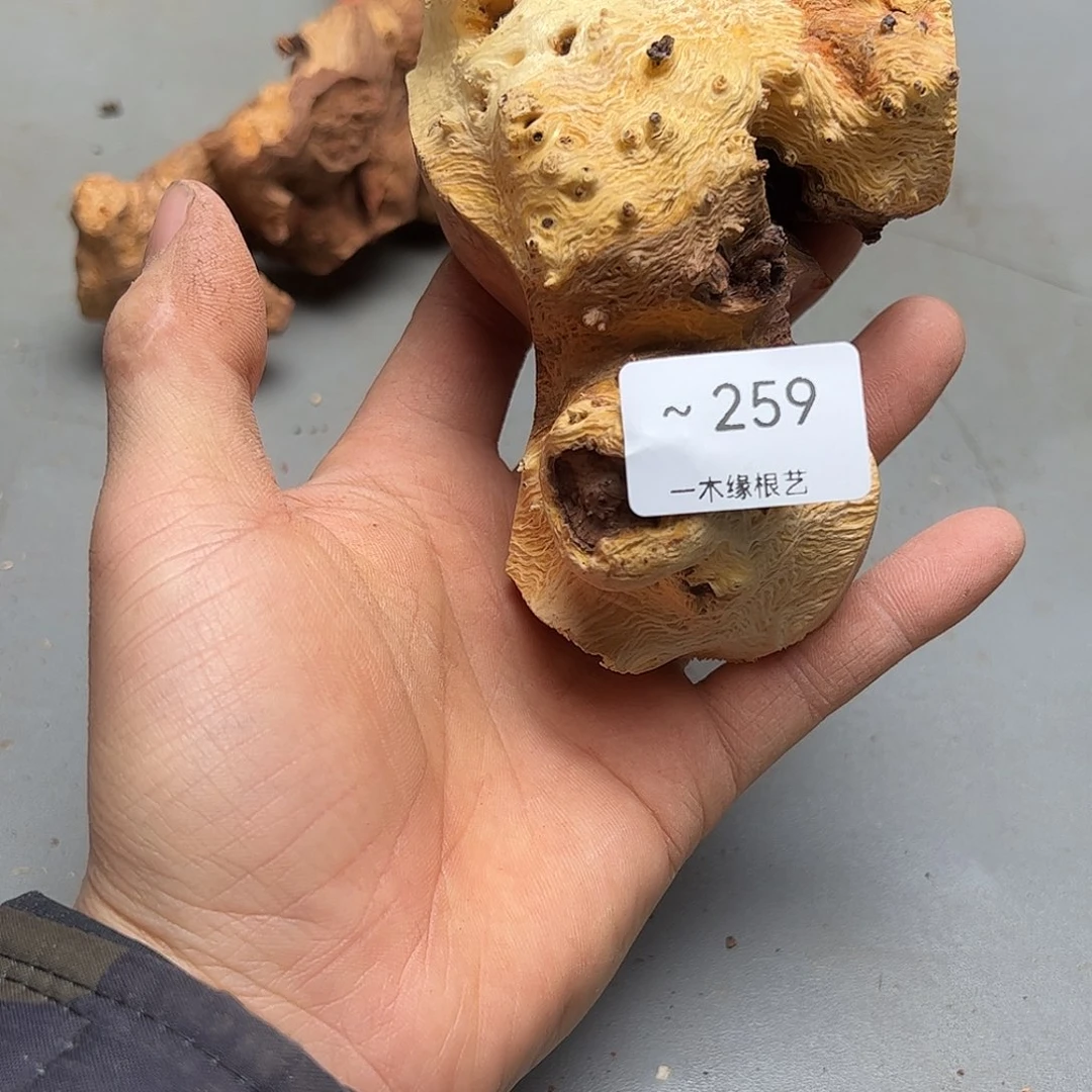 西***说无花朵       259