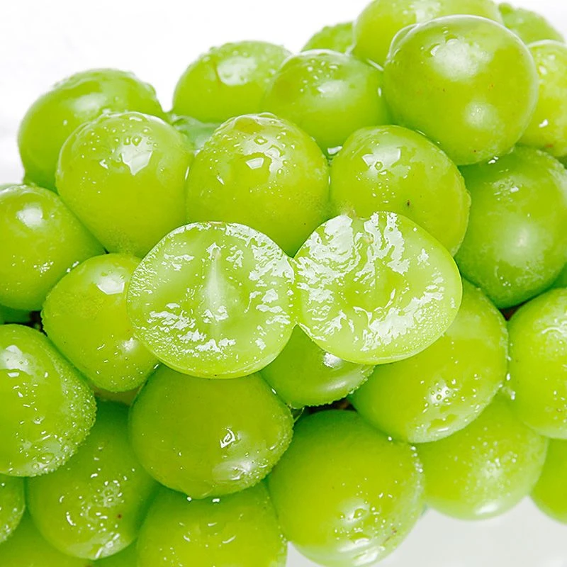【顺丰包邮】正宗云南阳光玫瑰葡萄青提甜脆多汁整串1-5斤装大果