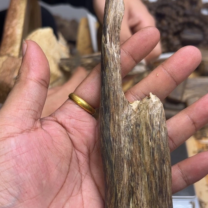 沉香碎屑沉香16克