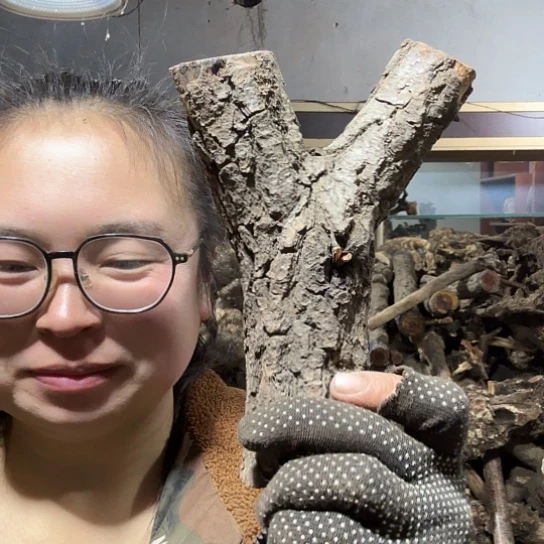 香榧木跳**恼火琉璃的毛料摆件