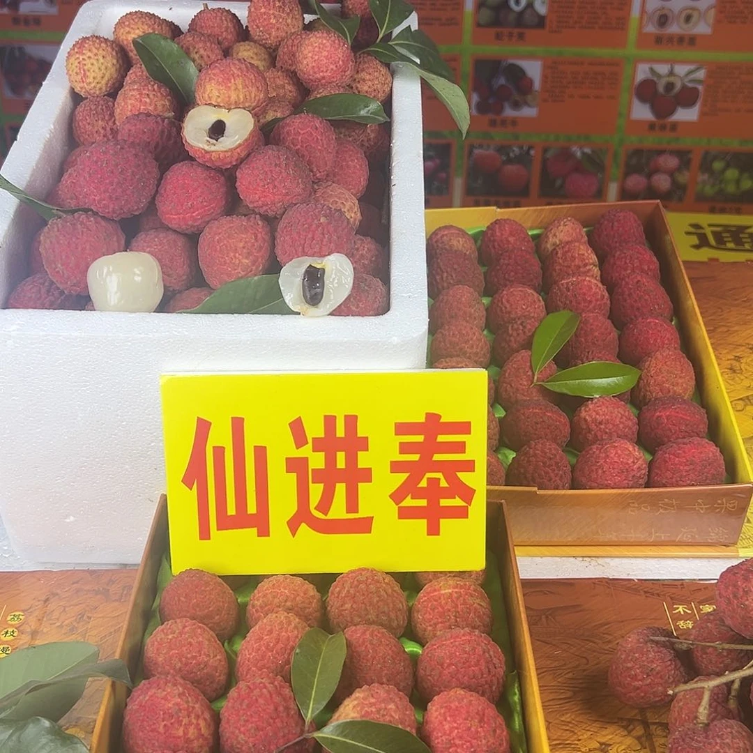 糯米糍增城仙进奉荔枝原产地