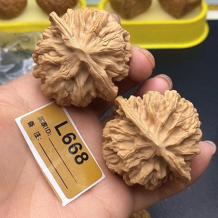 文玩核桃把件帝王4.8
