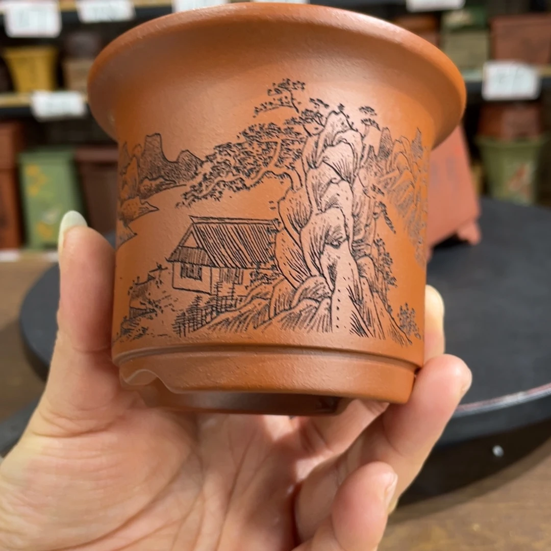 紫砂花盆紫砂花盆在这里