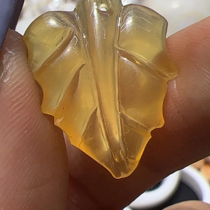 大果紫檀（缅甸花梨）鱼精树叶